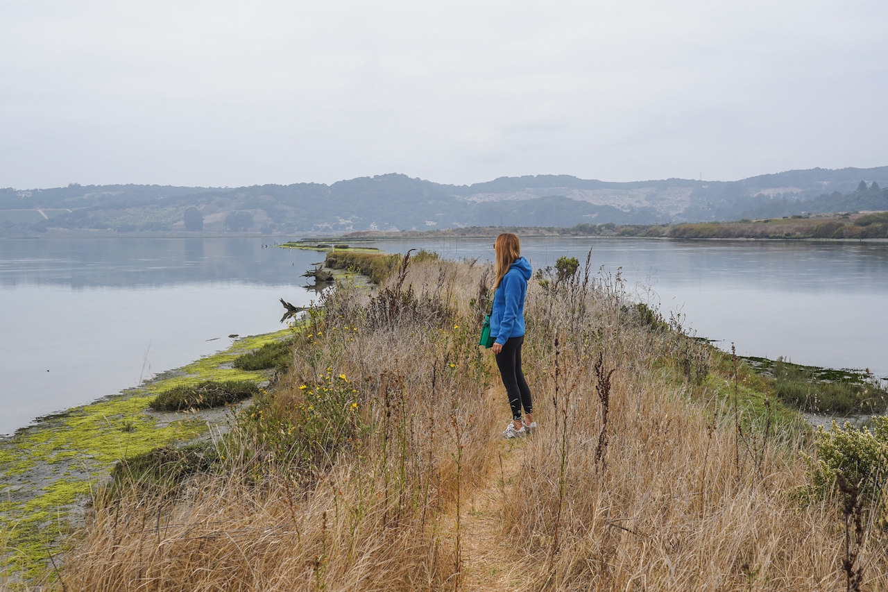 woman hiking Elkhorn Slough Reserve