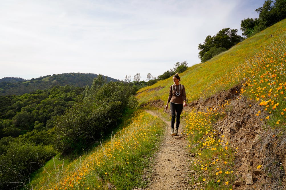 Woman hiking along the high point of Valentine Vista Loop in Napa Moore Creek Park 