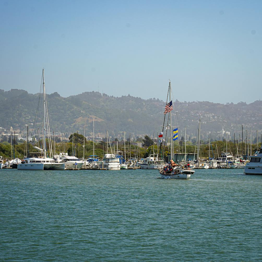 sailboats docked in Berkeley