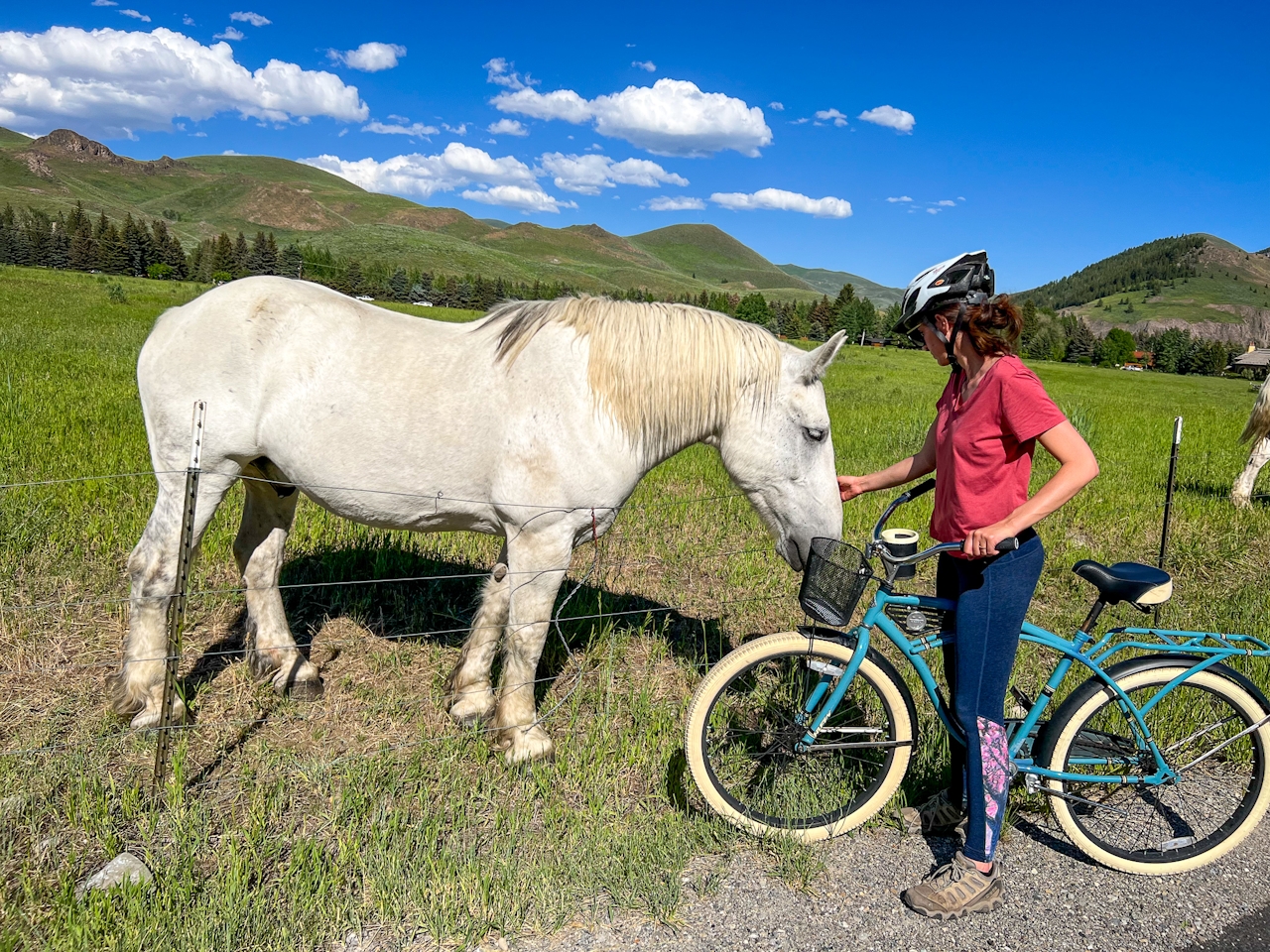 Cyclist saying hi to a horse on the Wood River Trail in Sun Valley Idaho 