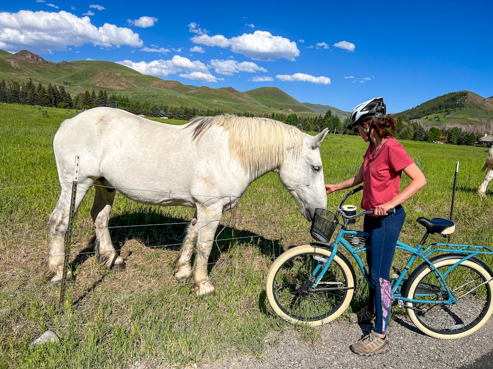 Cyclist saying hi to a horse on the Wood River Trail in Sun Valley Idaho 