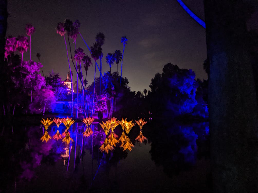 Holiday light display at Los Angeles County Arboretum for the Lightscape show 