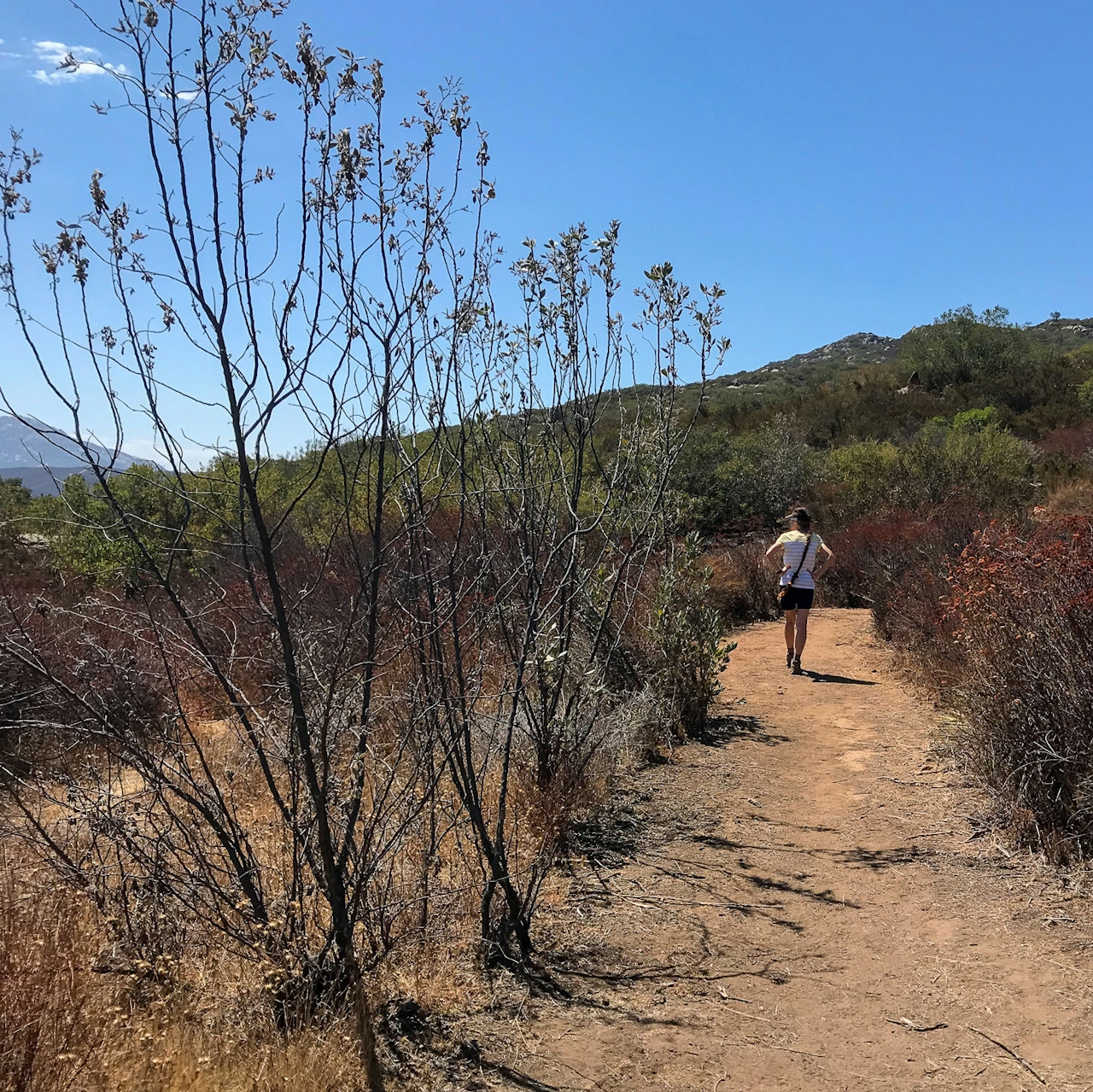 Hiker on trail at Luelf Pond County Preserve 