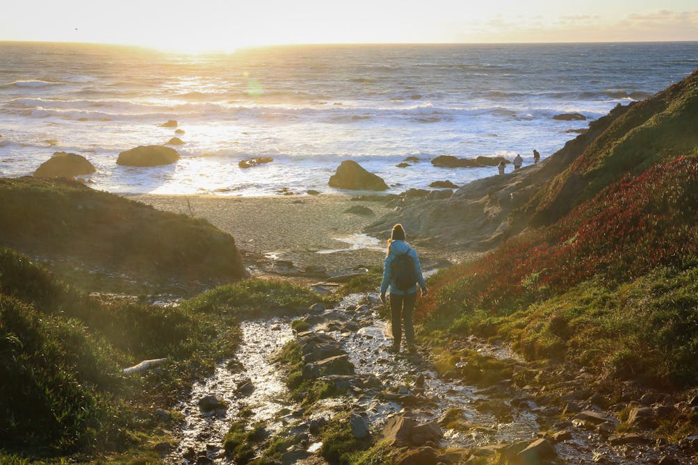 whale watching hiking at Bodega Head