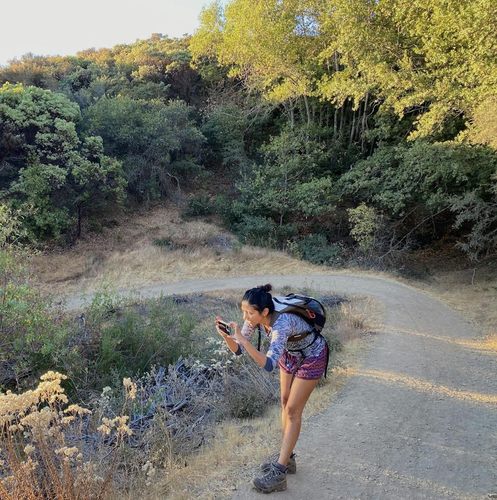 Hiker taking a photo of flowers along a trail at Mount Umunhum 