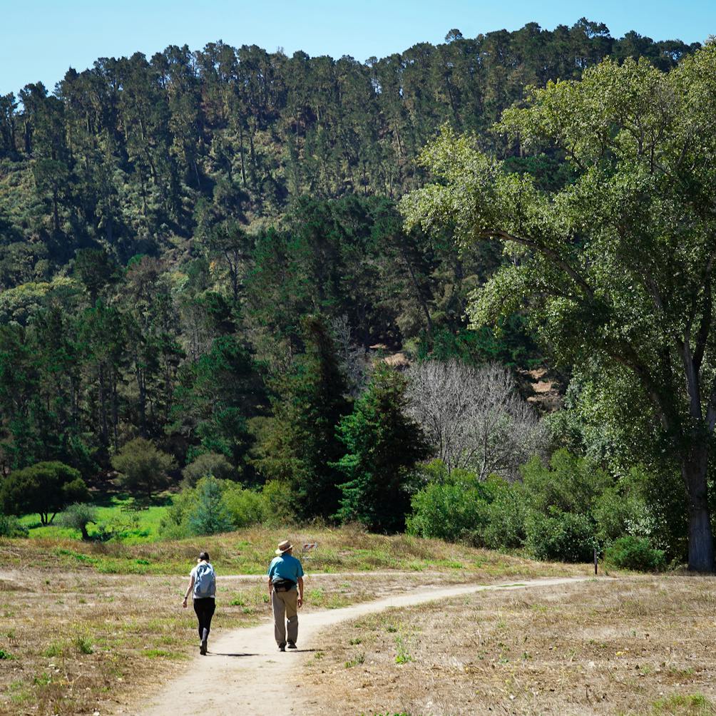 hikers at Palo Corona in Monterey