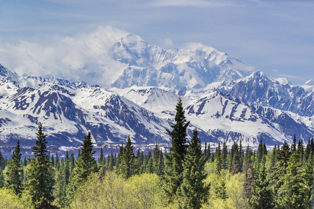 Denali National Park Alaska