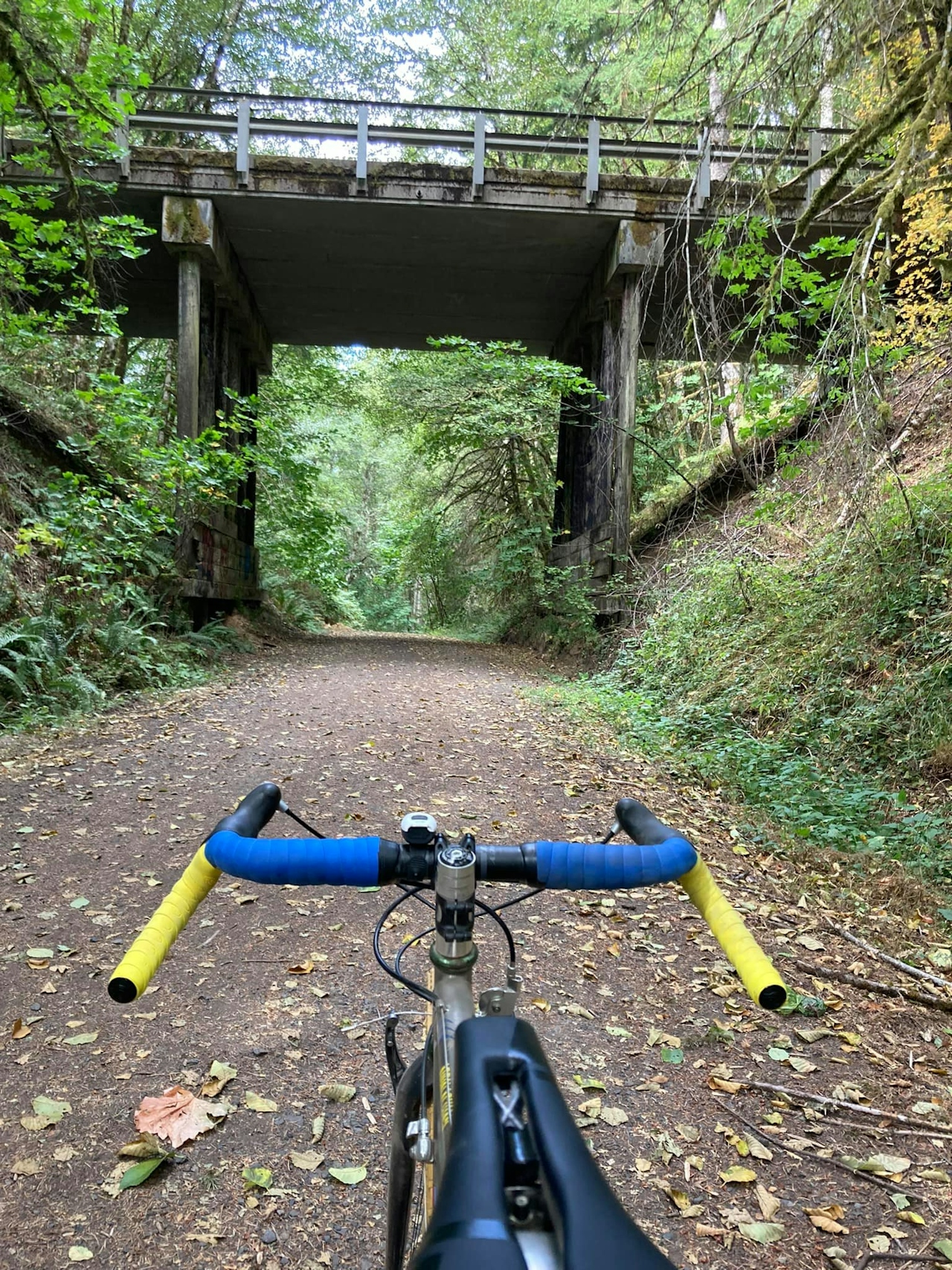 Banks Vernonia State Trail