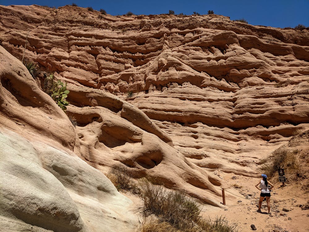 hiker at Whiting Ranch Wilderness canyon