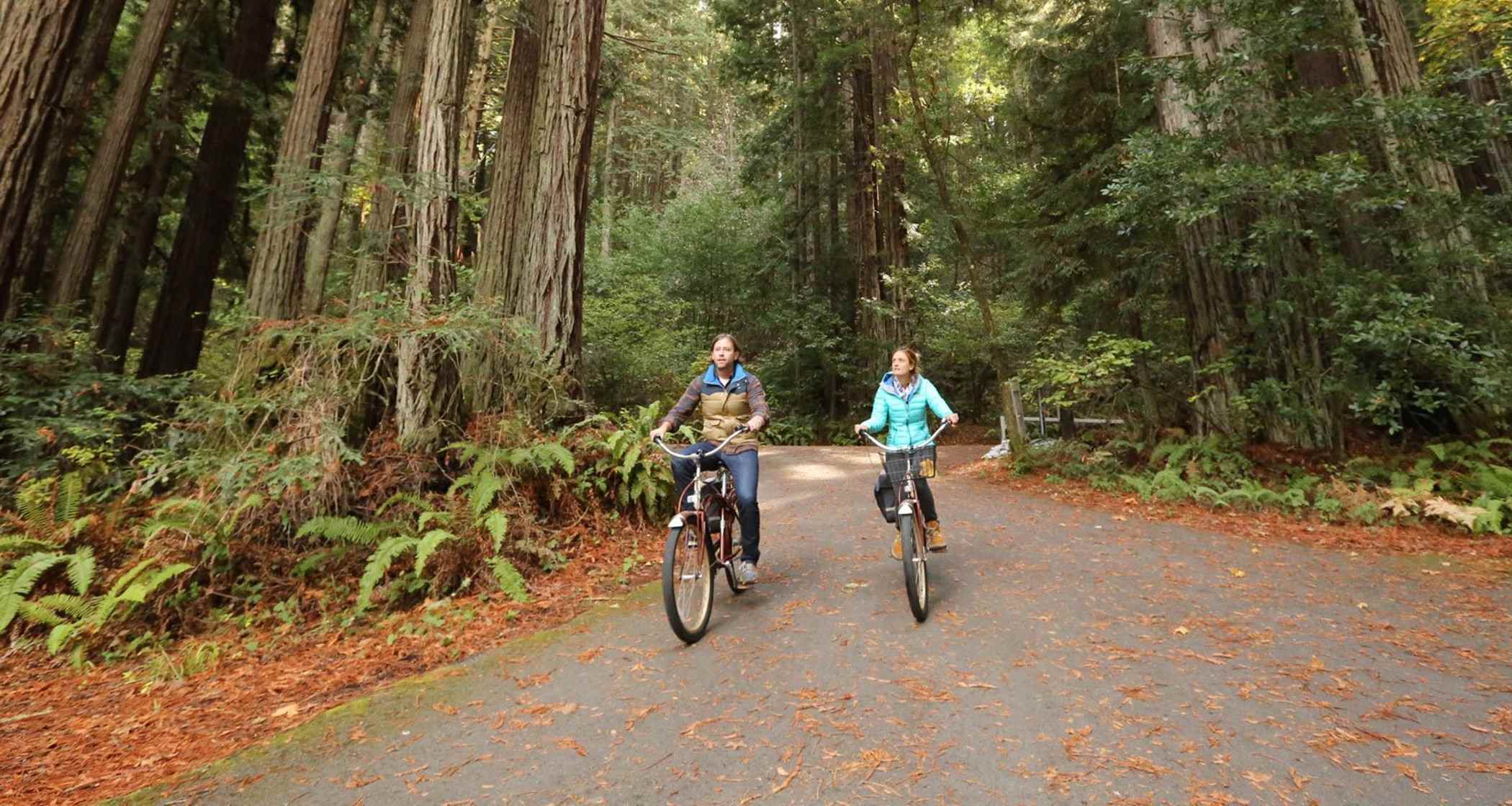 Cycing throught the forest