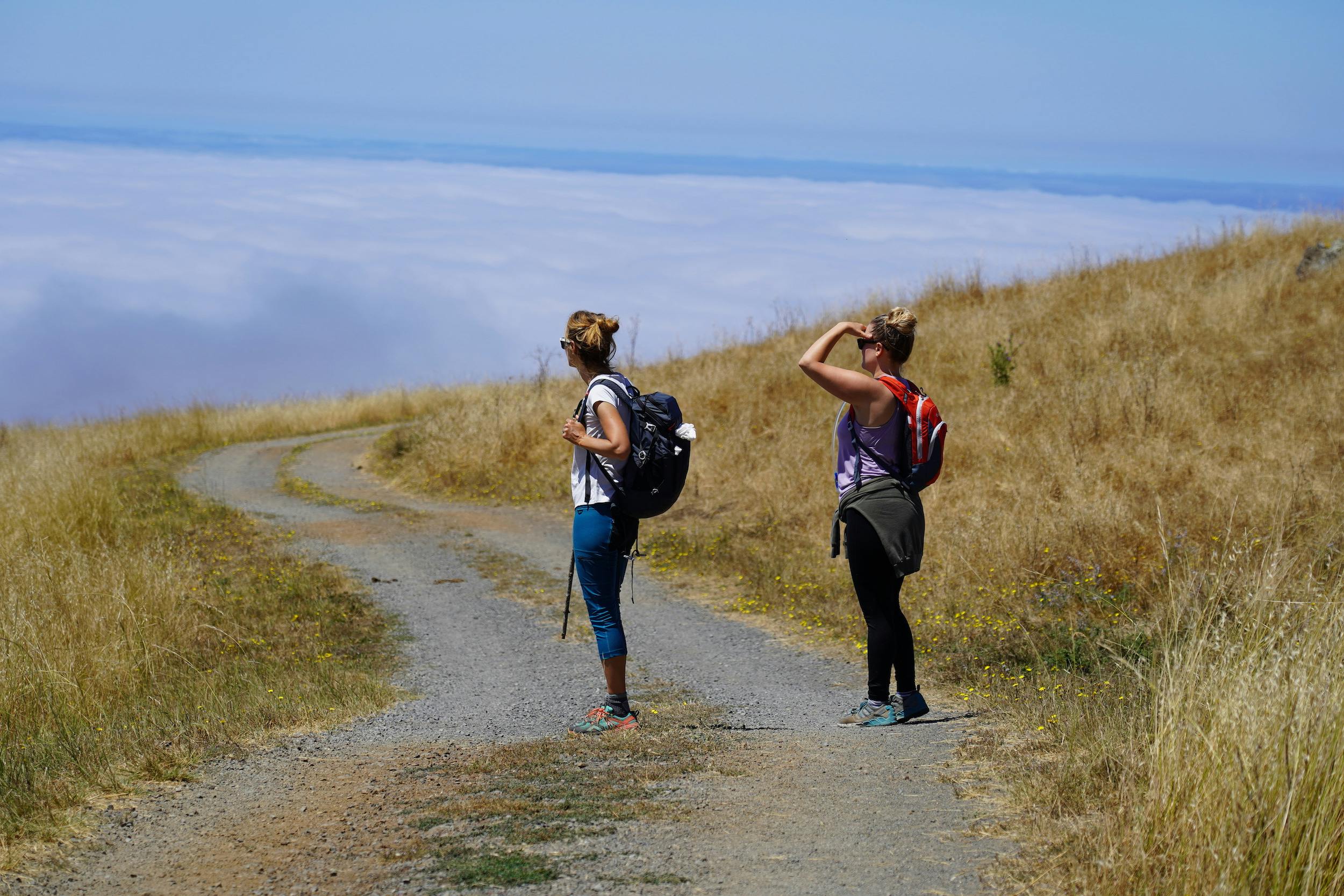 Two women hikers looking out to the foggy coast from a hiking trail at Jenner Headlands on the Sonoma Coast