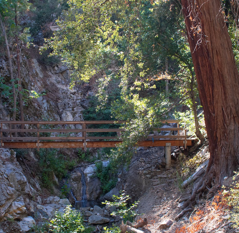 Bridge on the Bear Canyon Trail on Mount Baldy in Los Angeles County 