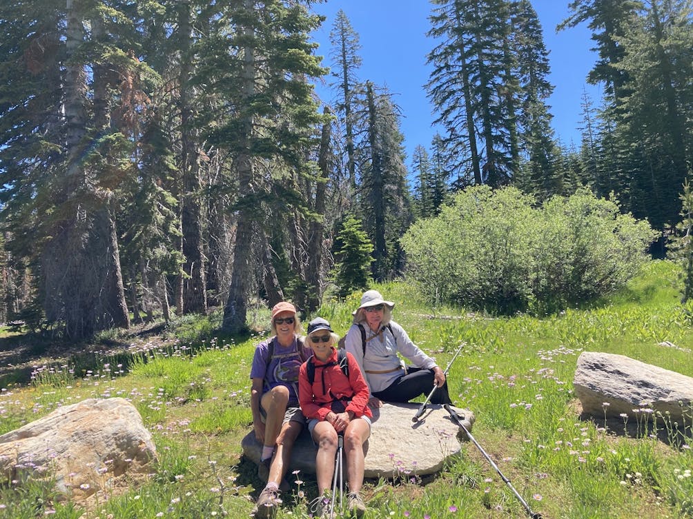 hikers enjoying wildflowers in Plumas County