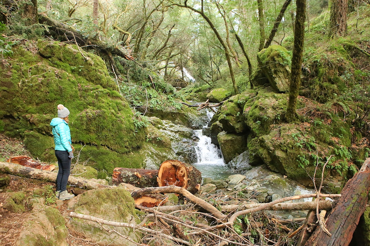 woman looking at waterfall
