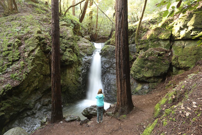 Woman at Cascade Falls in Mill Valley 