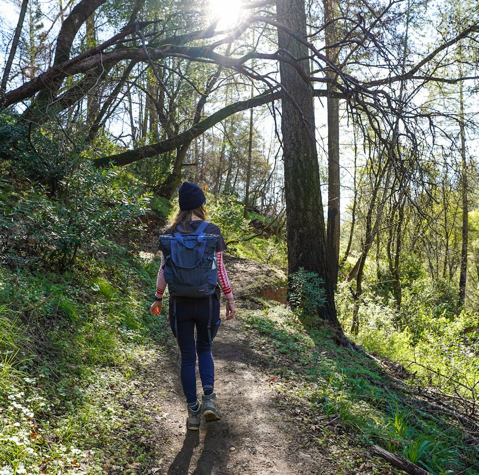 Woman hiking amid trees at Hood Mountain Regional Park and Open Space Preserve 