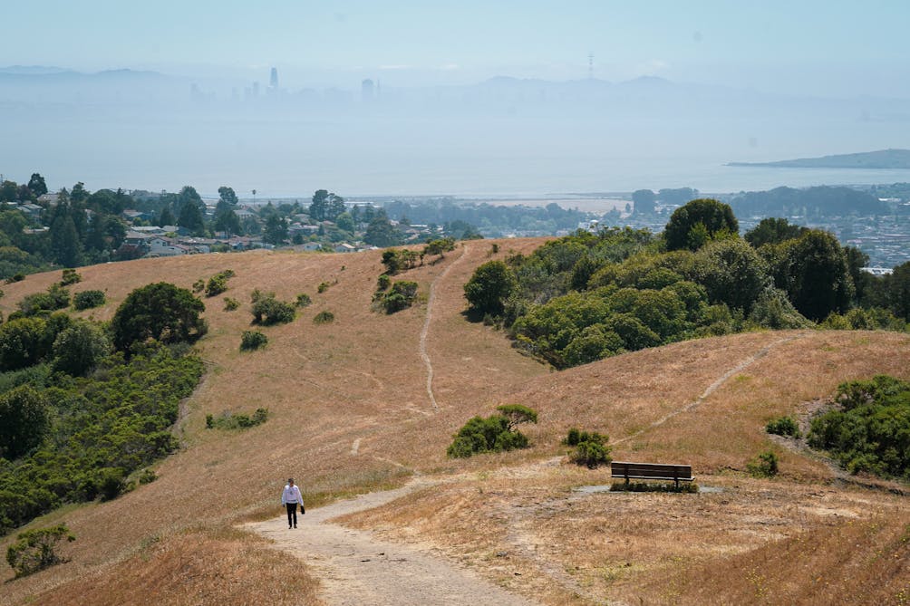 hiking wildcat canyon in the east bay with views of San Francisco Bay