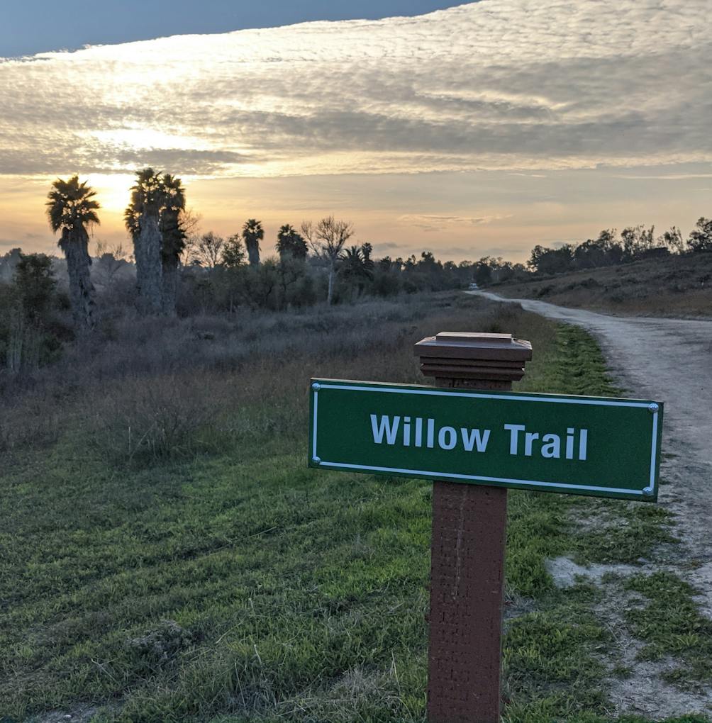 Willow Trail in Guajome County Park San Diego 