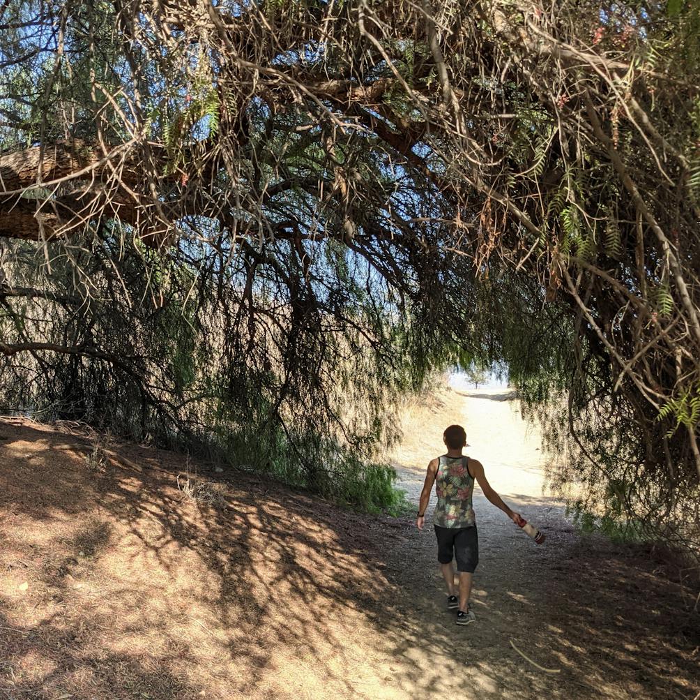 Hiker walking under a tree canopy at Horsethief Canyon Park in San Dimas 