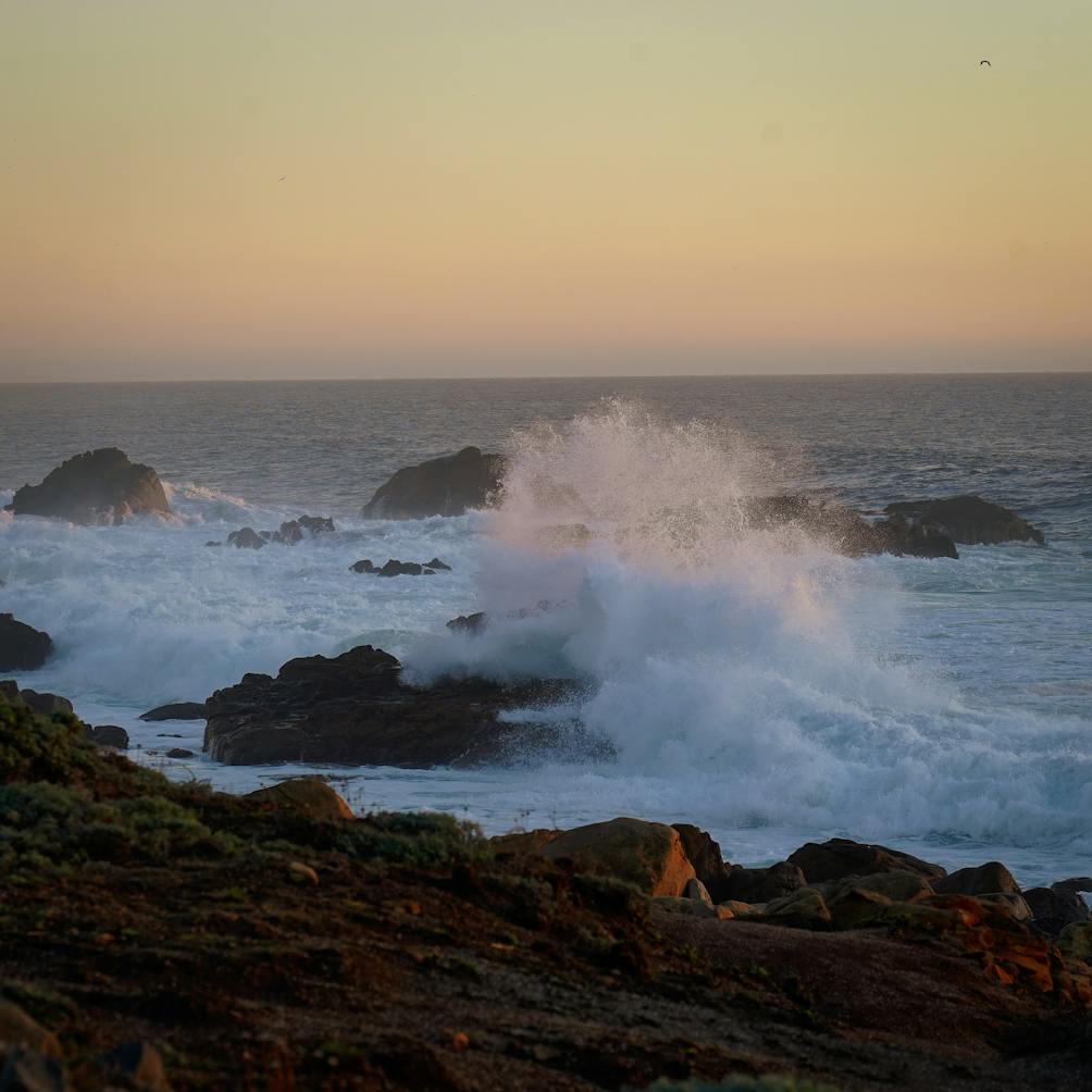 waves crashing at Salt Point State park