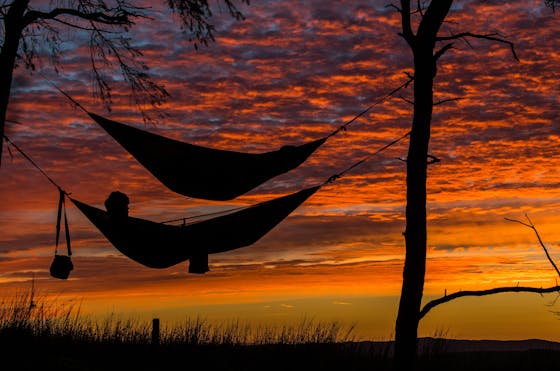People laying in hammocks looking at sunset