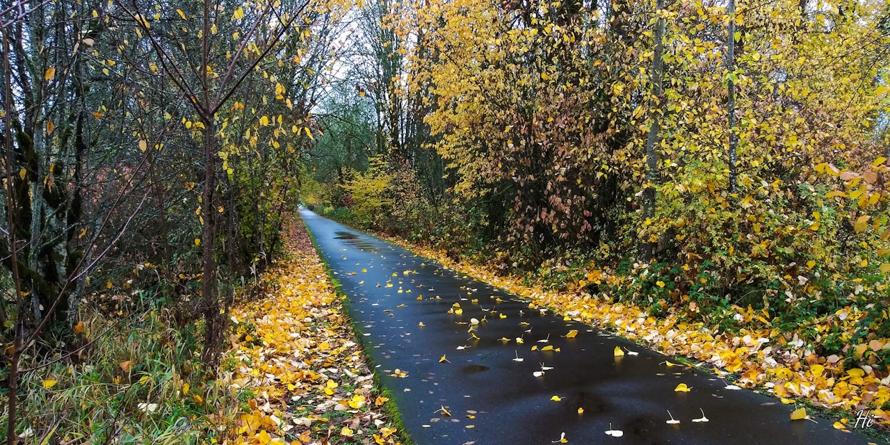 Banks Vernonia State Trail