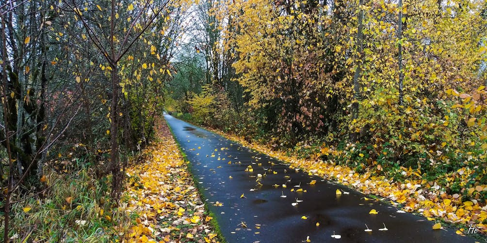 Banks Vernonia State Trail