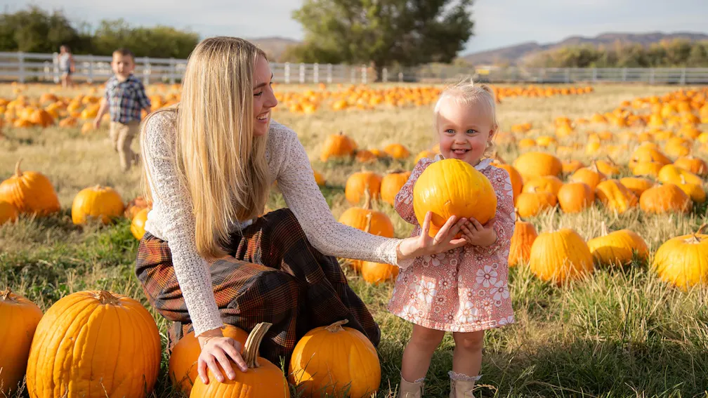 Boo-tifall Reno Tahoe