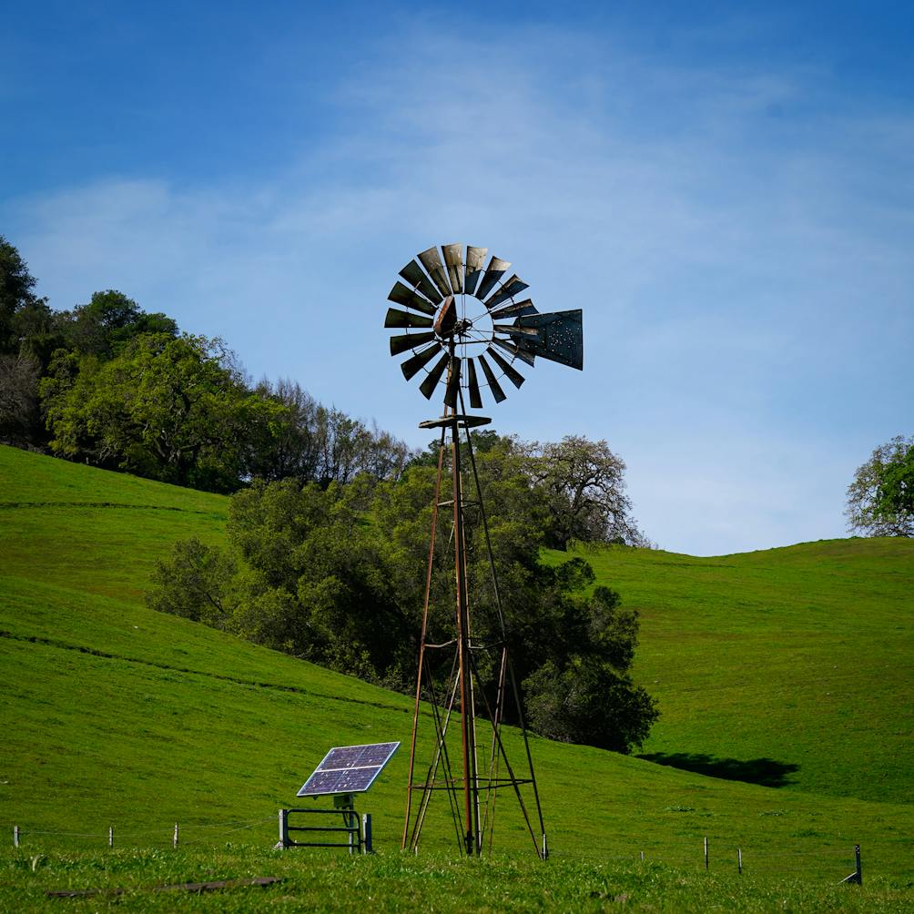 Windmill on Windmill Trail in Fernandez Ranch East Bay Martinez