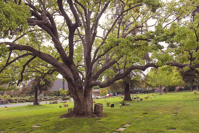 Los Angeles Pierce Brothers Westwood Village Memorial Park