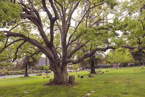 Los Angeles Pierce Brothers Westwood Village Memorial Park
