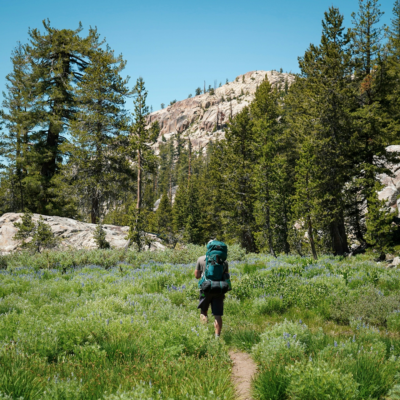 Backpacking Emigrant Wilderness