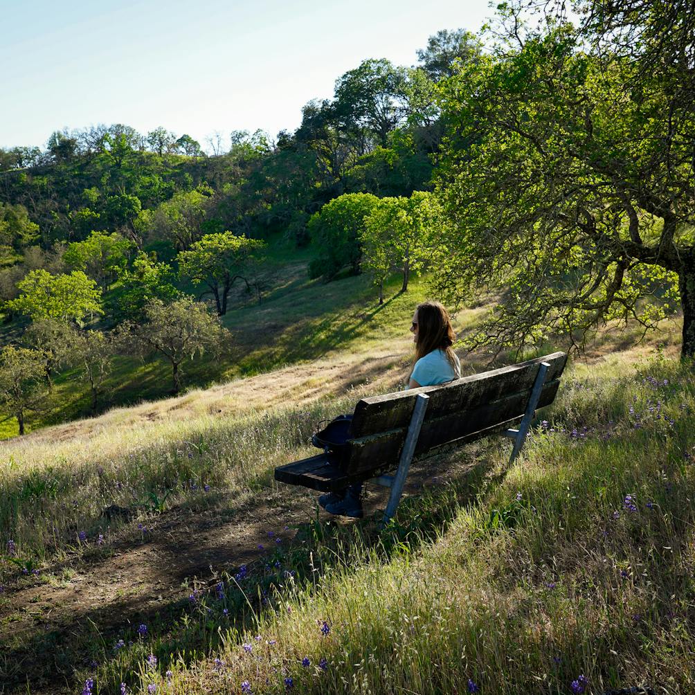 Woman sitting on a bench overlooking rolling hill scenery at Sonoma Valley Regional Park 