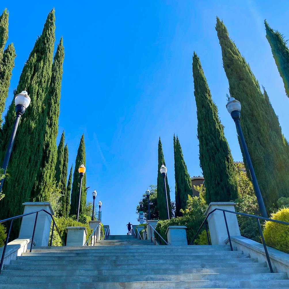 Grand Staircase in Communications Hill 