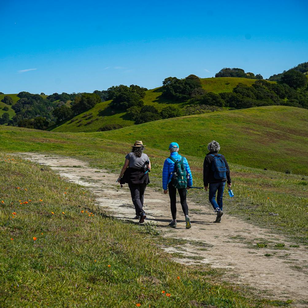 Three women hiking at Fernandez Ranch in the John Muir Land Trust Fernandez Ranch 