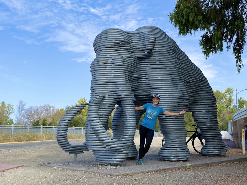 Lupe the mammoth art installation along Guadalupe River Trail in San Jose 