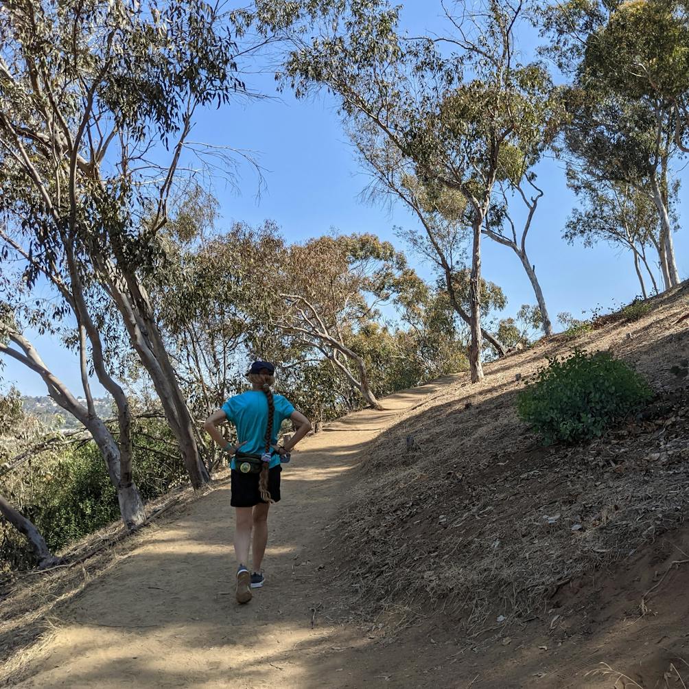 Woman hiking and forest bathing in eucalyptus forest at Hosp Grove in Carlsbad 