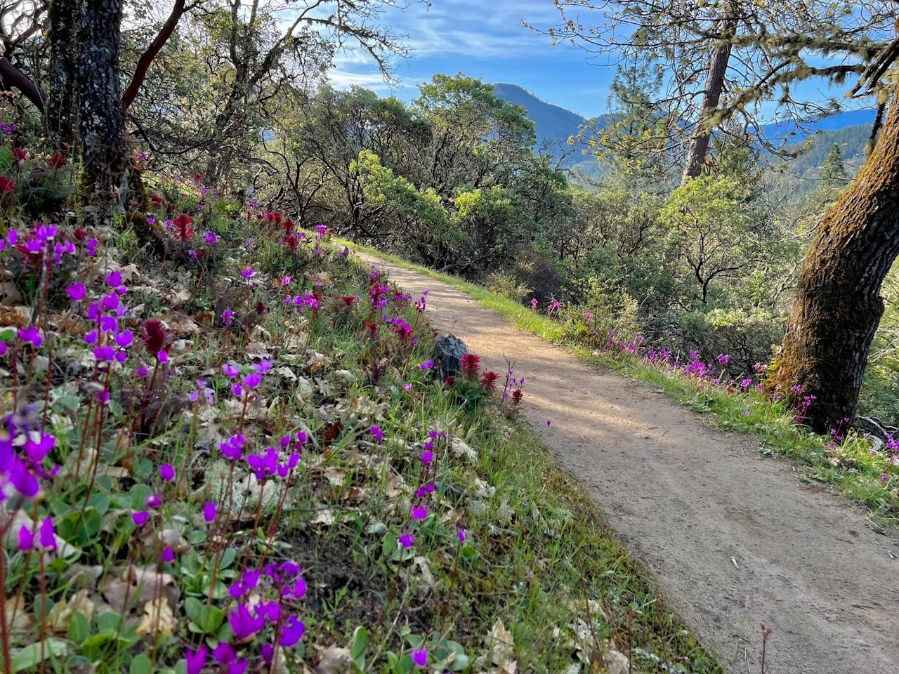 wildflower hiking trail Grants Pass