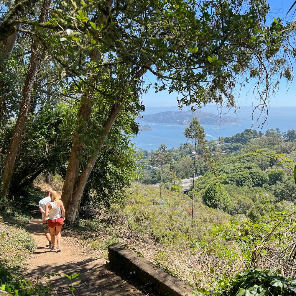 Morning Sun Trailhead hikers in Sausalito 