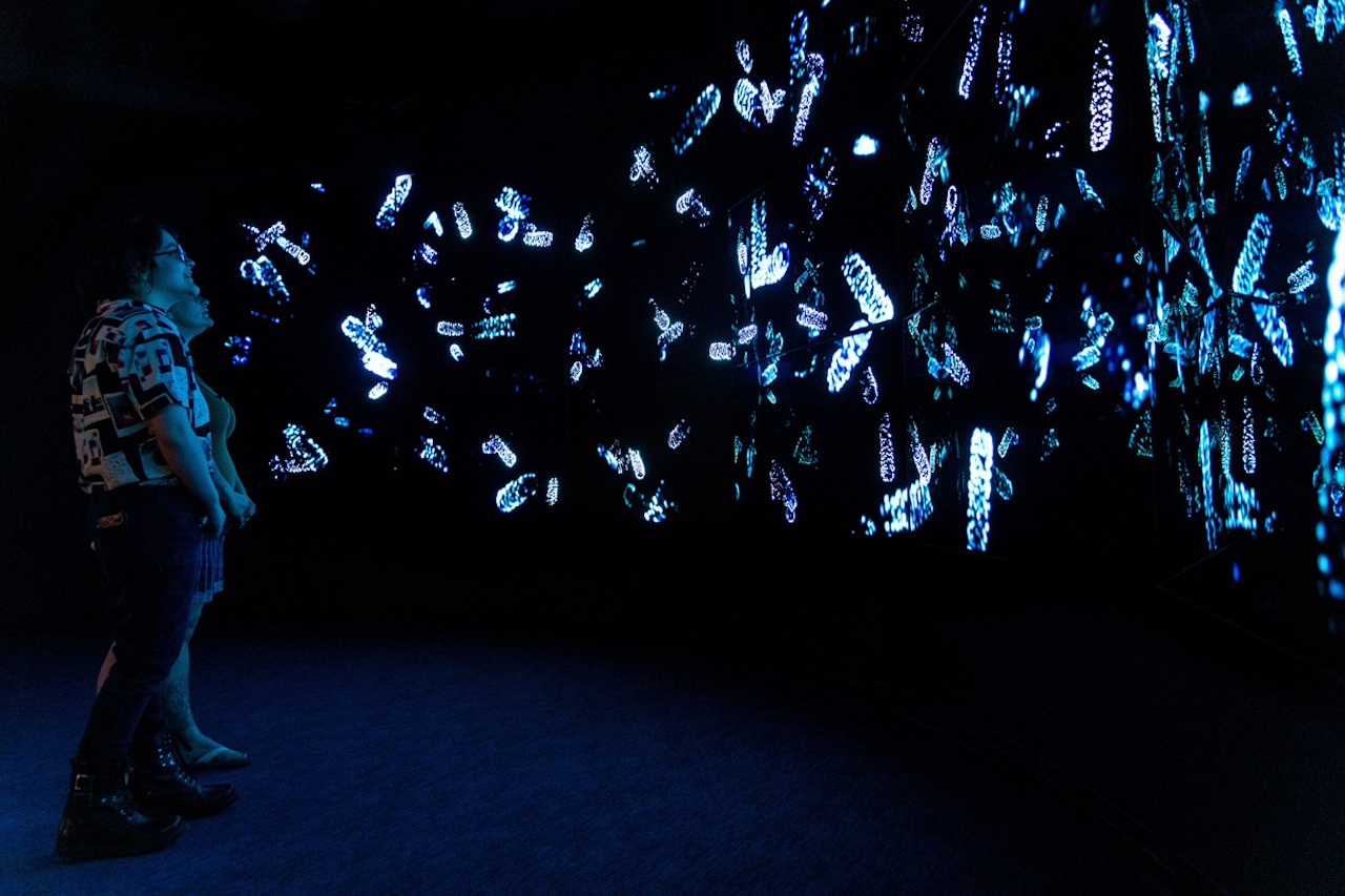 bioluminescence monterey bay aquarium