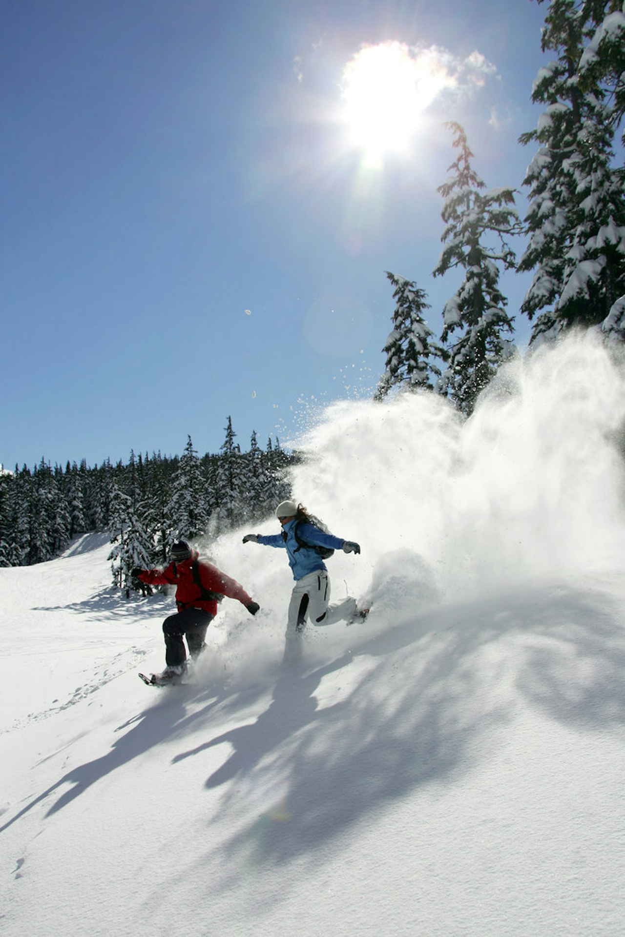 snow shoe Mt Bachelor