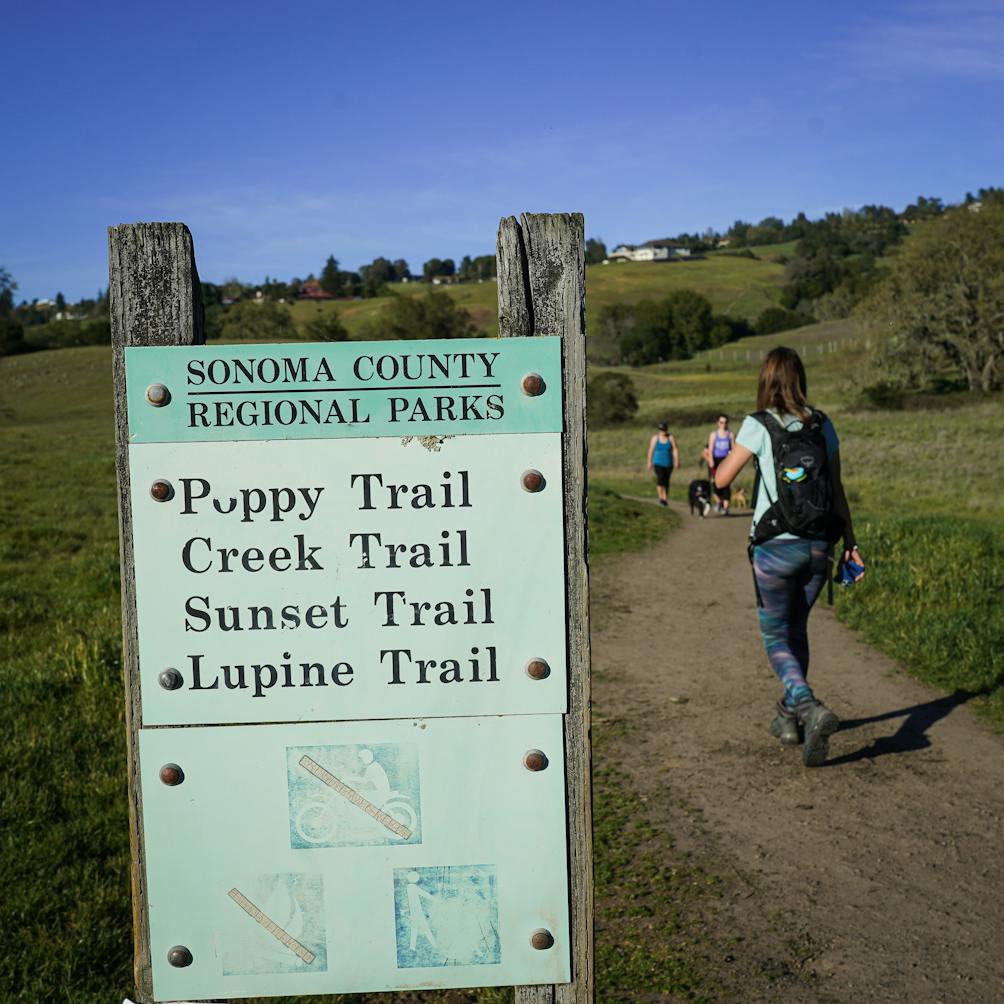 Hiker passing signs for trails at Crane Creek Regional Park in Sonoma County 