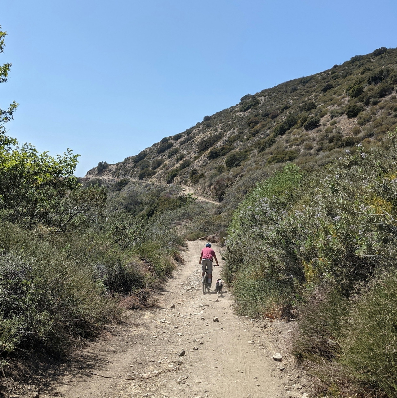 Hiker and dog on a trail in Haines Canyon Debris Basin in the San Gabriels Southern California 