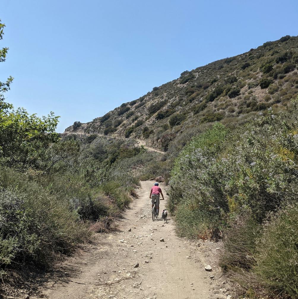 Hiker and dog on a trail in Haines Canyon Debris Basin in the San Gabriels Southern California 