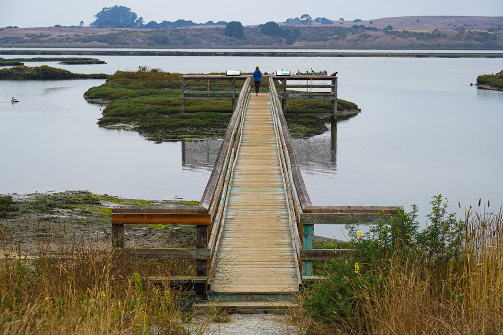 Elkhorn Slough Reserve