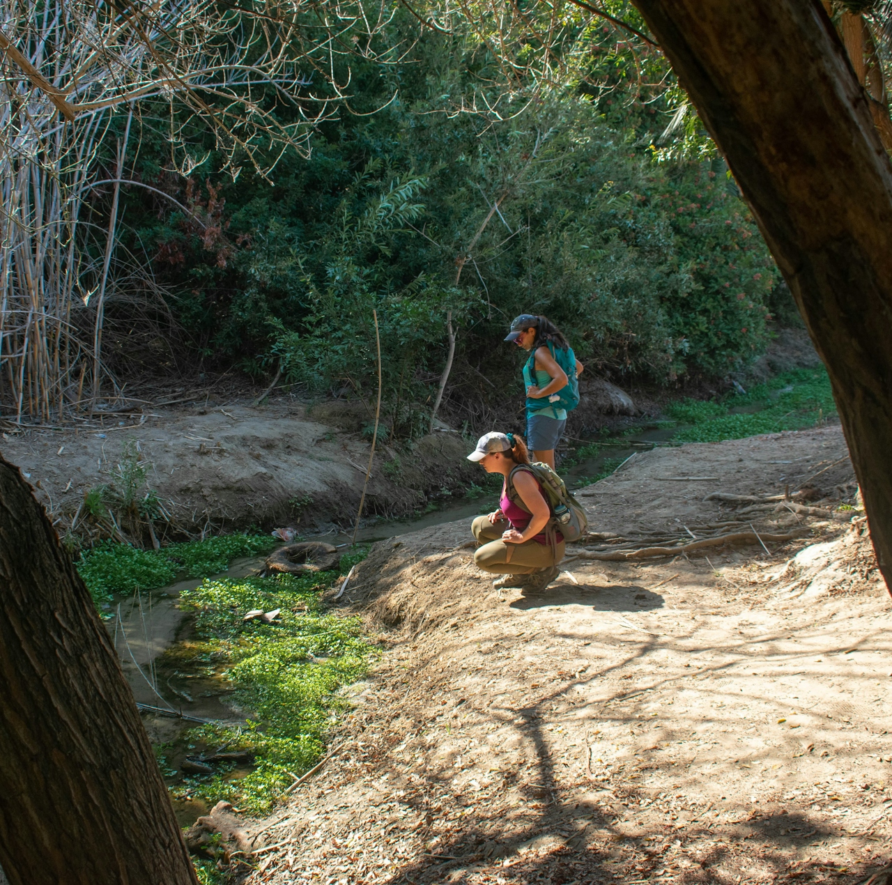 Two hikers taking a closer look at the nature at Upper Newport Bay Nature Preserve in Orange County 