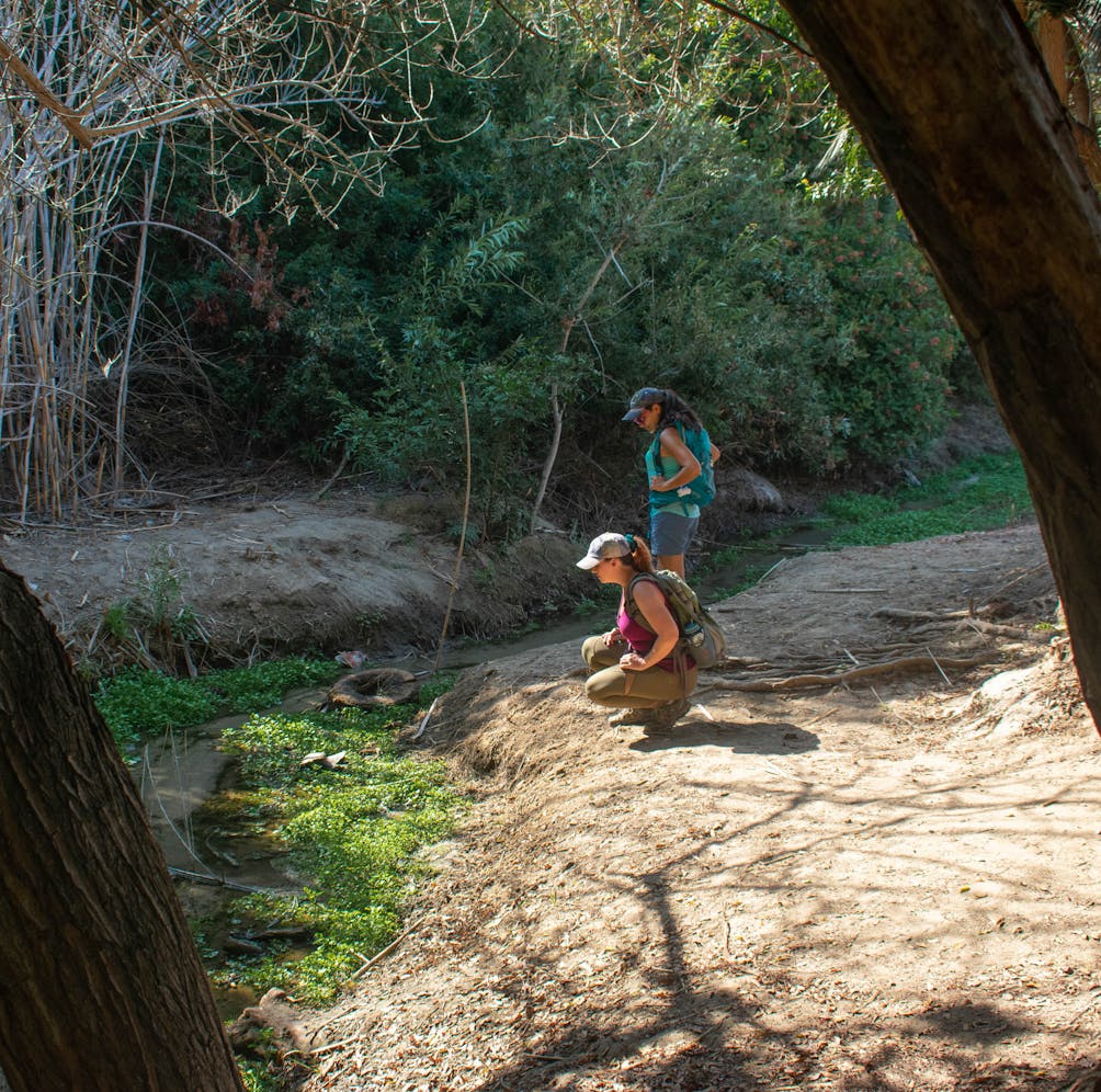 Two hikers taking a closer look at the nature at Upper Newport Bay Nature Preserve in Orange County 