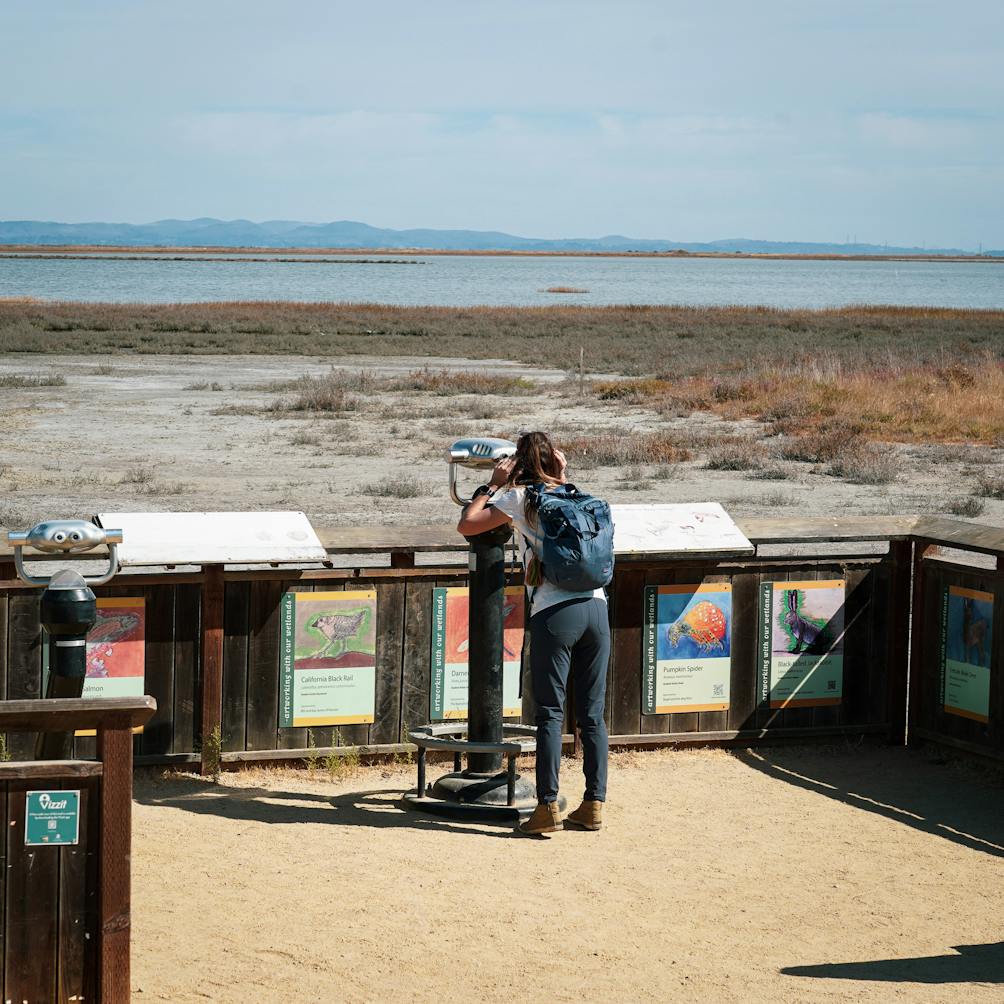 Woman looking through a telescope at the marsh at Hamilton Wetlands in Novato
