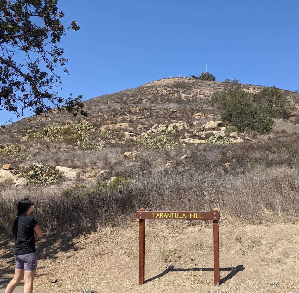 A woman standing at the Tarantula Hill sign at the base of the hill