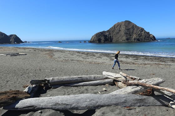 Woman walking by driftwood at Greenwood State Beach in Elk, Northern California near Mendocino